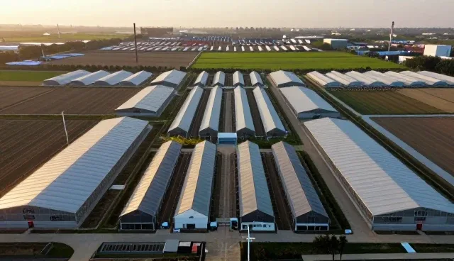 有机肥料在实际应用中的使用与维护要点